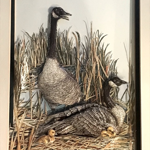 3D Mixed Media Vintage 1984 "Nesting Geese" by Lynn Bean Hand Cut Print Art - Picture 9 of 15